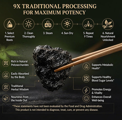 9X Prepared Rehmannia Root | Natural Blood Sugar & Metabolic Support Tonic