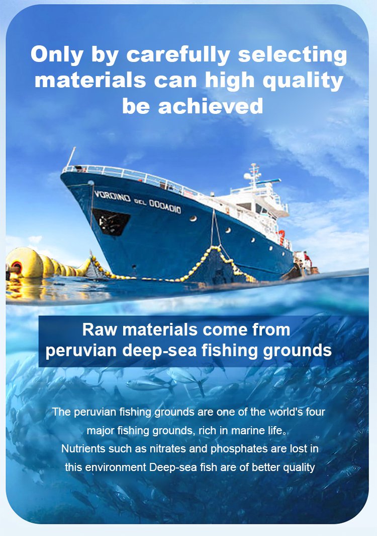 High-protein ready-to-eat deep-sea fish crisps