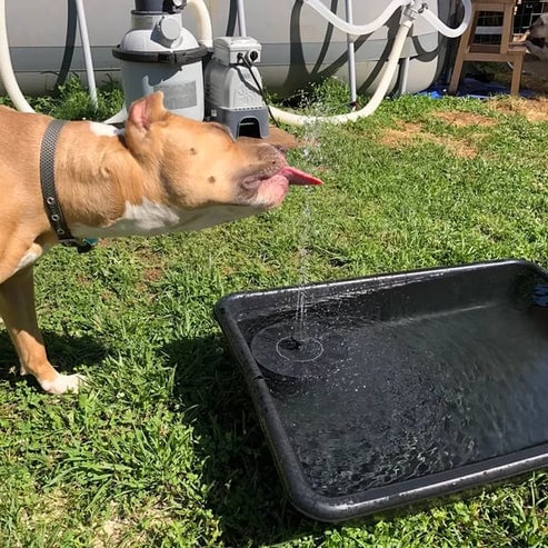 ☀️Solar Fountain Pump – Eco‐Friendly, Cordless, Floating Water Feature